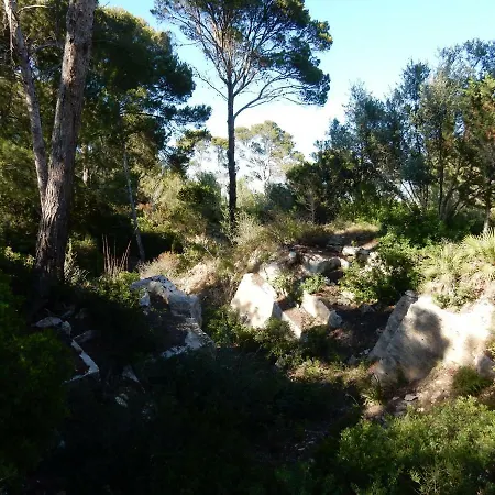 Finca En Sueno De Son Jaumell